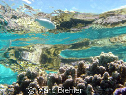 On the barrier reef, Bora Bora sony cybershot T5 by Marc Biehler 